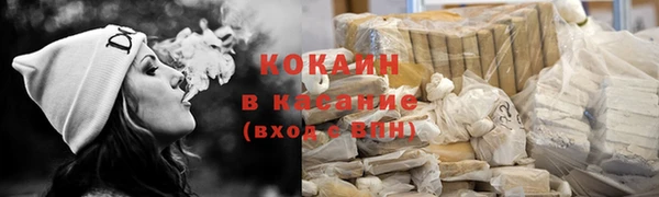 крисы Каменка