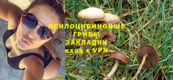mix Алексин