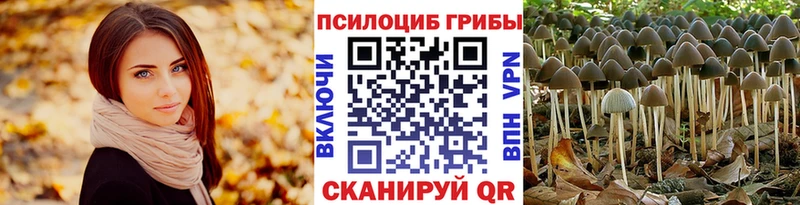 Псилоцибиновые грибы ЛСД  blacksprut маркетплейс  Новоалтайск 