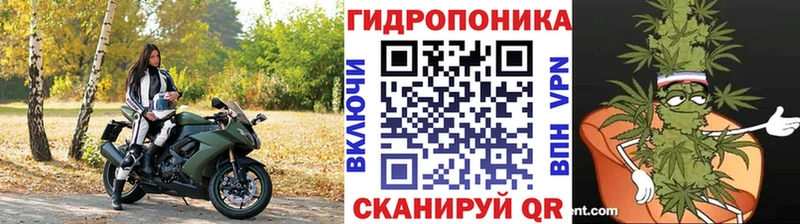 закладки Новоалтайск МАРИХУАНА OG Kush